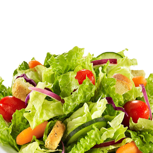 Fresh Garden Green Salad